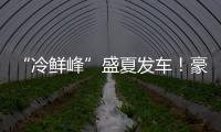“冷鲜峰”盛夏发车！豪沃重卡夏日冷链盛宴燃爆郑州