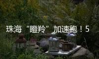 珠海“瞪羚”加速跑！57家企业上榜，新一代信息技术“领衔”