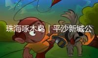 珠海啄木鸟｜平沙新城公交出行难�，如何解决？回应来了