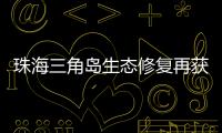 珠海三角岛生态修复再获国家级认可，二次入选海洋保护典型案例​