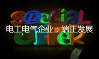 电工电气企业：端正发展态度 从长远角度出发