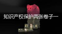 知识产权保护两张卷子一起答