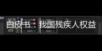 白皮书：我国残疾人权益保障更加有力