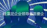 硅藻泥企业领导者需要企业家精神
