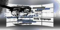类案入库
：可作参考理由	，不作裁判依据