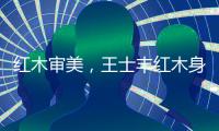 红木审美�，王士丰红木身体力行