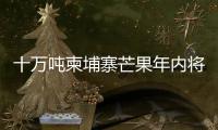 十万吨柬埔寨芒果年内将进入中国市场 中方�：体现中柬亲如兄弟的友谊