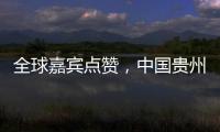全球嘉宾点赞
，中国贵州正点绿成“金”