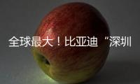 全球最大	！比亚迪“深圳号”交付启航