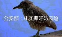 公安部

：扎实抓好防风险
、保安全、保畅通工作