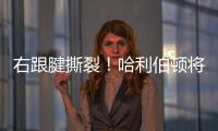 右跟腱撕裂！哈利伯顿将缺席2025