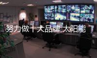 努力做十大品牌 太阳能路灯才能获得进步