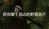 医我看丨路边的野蘑菇不要采
！花色难辨 毒藏其间