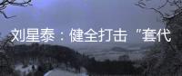 刘星泰	：健全打击“套代购”走私长效机制