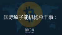 国际原子能机构总干事：国际核不扩散体系不应该被打破