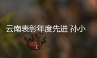 云南表彰年度先进 孙小果系列案件专案组上榜