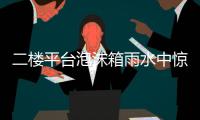 二楼平台泡沫箱雨水中惊现古老物种“仙女虾” 专家	
：虫卵或随鸟粪而来
