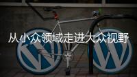 从小众领域走进大众视野 整理收纳师走俏为哪般？