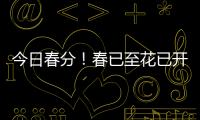 今日春分！春已至花已开，愿你不负好春光