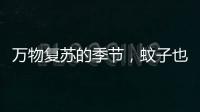 万物复苏的季节，蚊子也“醒”了？早春灭蚊指南请收下