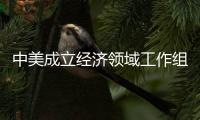 中美成立经济领域工作组