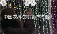 中国农科院粮食作物重大新品种培育取得新进展