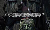 中央指导组如何指导？
