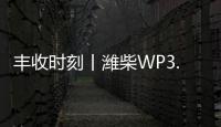 丰收时刻丨潍柴WP3.6N勇当先，油菜丰收捷报传