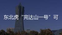 东北虎“完达山一号”可能已“脱单”！