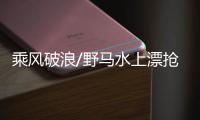 乘风破浪/野马水上漂抢滩布火网