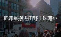 把课堂搬进田野！珠海小学生耕读园里割麦子