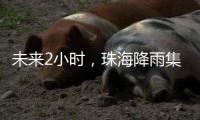 未来2小时，珠海降雨集中在金湾区
、合作区和万山区