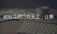 树枝花洒巧夺天工
，让美在世界流淌