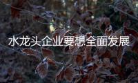 水龙头企业要想全面发展 需从四方面切入