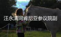 汪永清同肯尼亚参议院副议长卡玛尔举行视频会晤