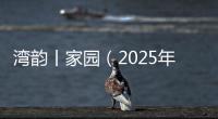 湾韵丨家园（2025年4月18日）