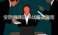 安防品牌延伸战略实施需考虑的七个因素