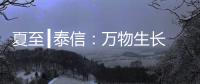 夏至┃泰信：万物生长 浓荫夏长
