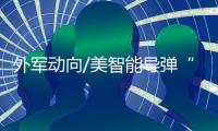 外军动向/美智能导弹“弹簧刀”巡飞索敌