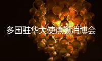 多国驻华大使点讚消博会