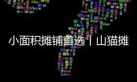 小面积摊铺首选丨山猫摊铺机为何如此厉害
？