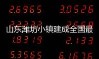 山东潍坊小镇建成全国最大的海水稻种植基地