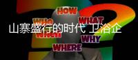山寨盛行的时代 卫浴企业如何抢占市场�？