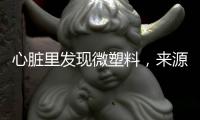 心脏里发现微塑料，来源耐人寻味