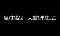 应对挑战，大型智能锁企业要“刹住车”