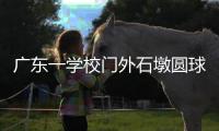 广东一学校门外石墩圆球加设钢管护栏�，网友质疑多此一举，学校回应
：是出于安全考虑，加装为防车辆撞击