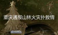 重庆通报山林火灾扑救情况	：大足、铜梁火场火情目前总体可控
