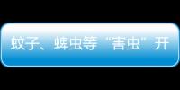 蚊子、蜱虫等“害虫”开始活跃，这份防虫全攻略请收好