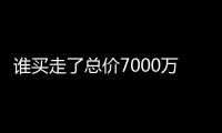 谁买走了总价7000万元以上的豪宅？