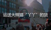 运送大熊猫“丫丫”的货运专机已降落上海浦东机场